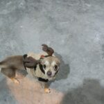 WhatsApp Image 2023-01-30 at 10.23.11 (2)